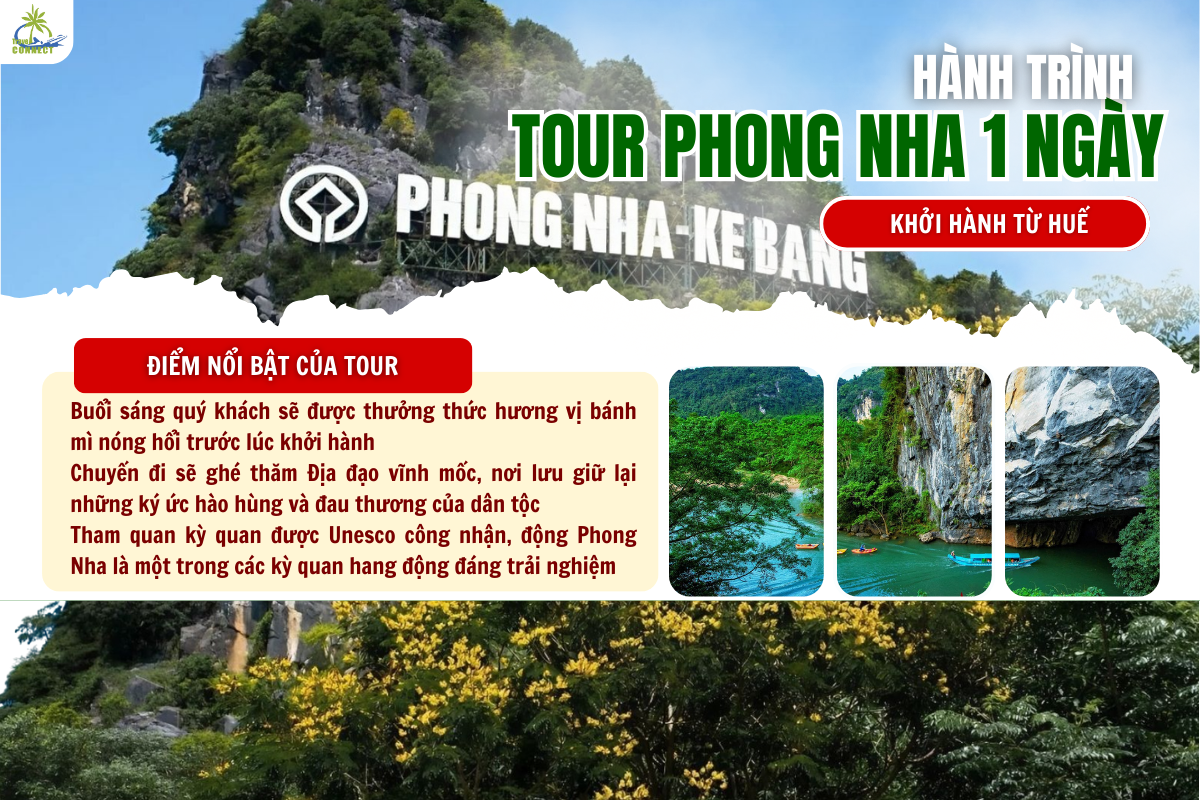 TOUR DMZ QUẢNG TRỊ – VỊNH MỐC – ĐỘNG PHONG NHA : DẤU ẤN CHIẾN TRANH & KỲ QUAN THẾ GIỚI