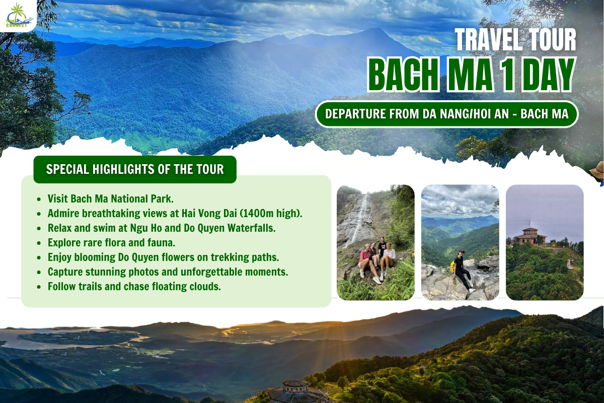 BACH MA NATIONAL PARK 1-DAY TOUR FROM DA NANG/HOI AN